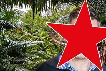 Dschungelcamp: Gerüchteküche brodelt: GZSZ-Star soll Dschungelcamp aufmischen