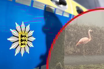 Pinker Exot: Bei diesem Anblick ruft ein Autofahrer sofort die Polizei