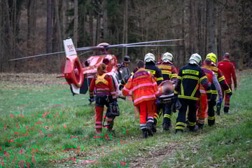 Rettungseinsatz in Sachsen: Mann bei Baumfällarbeiten verletzt
