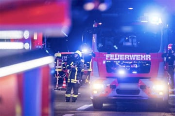 Gartenlaube bei Feuer vollständig zerstört: Polizei vermutet Brandstiftung
