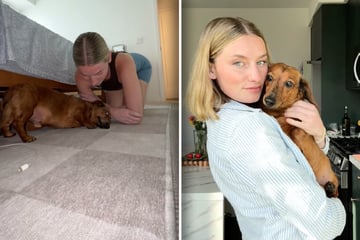 Frauchen will mit Dackel rausgehen: Die Reaktion des Hundes lässt Lachtränen fließen