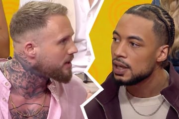 Are You The One: Wird bald im Käfig gekämpft? Hass kocht in Reality-Reunion wieder hoch
