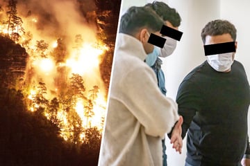 Shisha im Nationalpark geraucht: Setzten SIE den Wald an der Bastei in Brand?