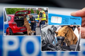 Chemnitz: Weil immer mehr Chemnitzer zugedröhnt fahren: Drogen-Kontrolle an der Neefestraße