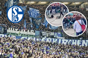 Keine Entschuldigung: Schalker Ultras beziehen Stellung zur "Schande von Dublin"