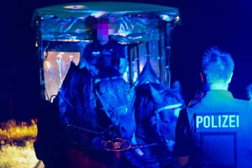 Polizei stoppt Kutsche: Fahrer betrunken eingepennt