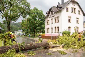 Chemnitz: Unwetter in Chemnitz: Sturm entwurzelt Bäume