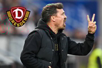 Dynamo steckt unten drin - und Stamms To-do-Liste wird immer größer