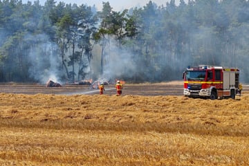 Traktor brennt plötzlich lichterloh: Flammen greifen auf Waldstück über