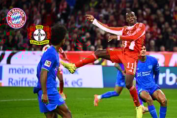 Ohne Kane & Co: FC Bayern zerlegt Leverkusen mit B-Elf