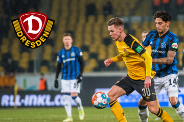 Dynamo-Mittelfeldmann Julius Kade derzeit mit Startelf-Abo: "Hat nächsten Schritt gemacht"