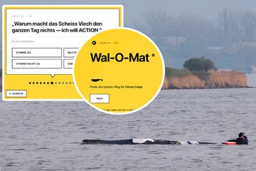 Soll "Timmy" gesprengt werden? Neu entwickelter "Wal-O-Mat" macht sich über Ostsee-Drama lustig
