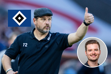 Kommentar: Steffen Baumgart passt wie die Faust aufs Auge zum HSV