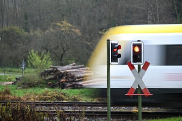 Bus auf Bahnübergang eingesperrt - Narren verhindern Zugunglück