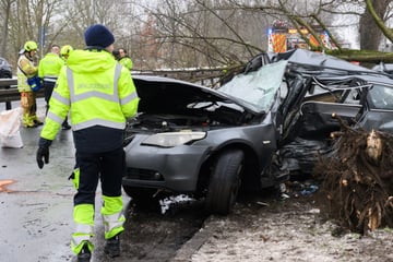 BMW kracht gegen Baum und wird zerstört: Ein Toter und zwei Schwerverletzte