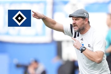 HSV-Trainer Baumgart bläst zum Gegenangriff: "Werden Ziele mit mir erreichen"