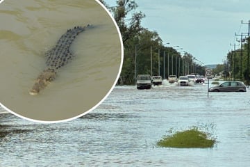 Alles unter Wasser: Doch hier lauert bereits die nächste Gefahr