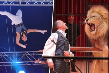 Dresden: Gut gebrüllt, Löwe! Dresdner Weihnachtscircus legt top Start hin - aber einen Haken gibt es