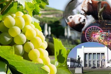 Dresden: Mit diesen sechs Tipps wird Euer Ostermontag in Dresden und Umgebung perfekt