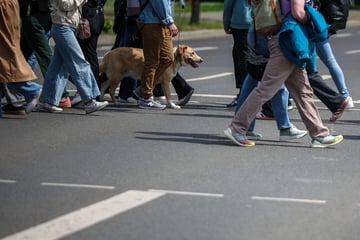 Leipzig: Auto, Fahrrad oder doch zu Fuß? So bewegen sich die meisten Leipziger fort