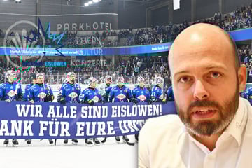 Dresdner Eislöwen verabschieden sich mit Niederlage aus der DEL