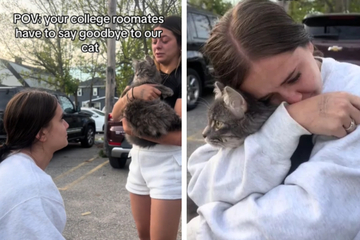 Als sich diese Mädels-WG von ihrer Katze verabschiedet, fließen Tränen