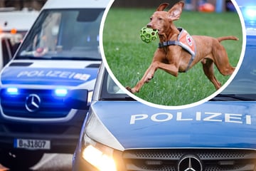 Spürnase Pino findet vermissten Senior und verdient sich "dicke Wurst"