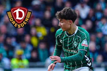 Dynamo-Neuzugang Covic bringt SGD-Erinnerungen aus seiner Kindheit mit