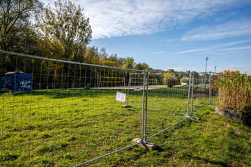 Dresden: Hier entsteht in Dresden ein echtes Sportlerparadies