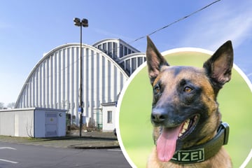 Köln: Trotz kreativem Versteck: Kölner Polizei schnappt Kupferdieb auf frischer Tat