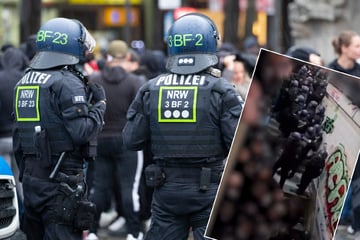 "Fielen dabei auf das Gleis": Fanhilfe erhebt Prügel-Vorwürfe gegen Polizei