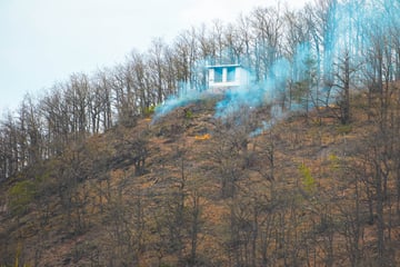 Jugendlicher grillt im Wald und verursacht ein Feuer