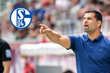 Schalke-Coach Grammozis und Vorstand Knäbel positiv auf Corona getestet!