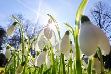 Wetter in Thüringen: Sonne setzt sich durch