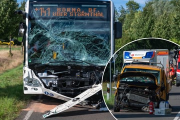 Transporter kracht in Linienbus: Schulkinder bei Unfall in Wachau verletzt