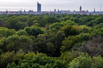 Leipzig: Was ist aus dem Leipziger Auwald-Vorhaben des Freistaats Sachsen geworden?