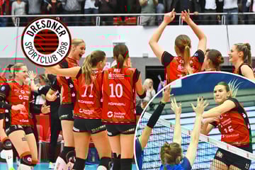 Die Margon Arena bebte! DSC gewinnt unfassbaren Ost-Kracher gegen Schwerin