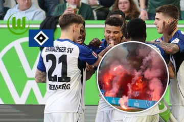 Elfer-Wahnsinn! HSV verschärft Wolfsburger Krise, Eskalation nach Abpfiff