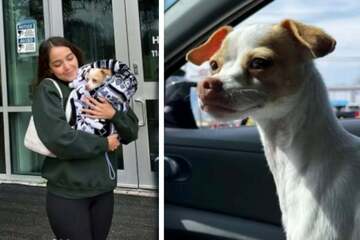 Dog owner cries when she finds out tragic reason why rescue pup was abandoned