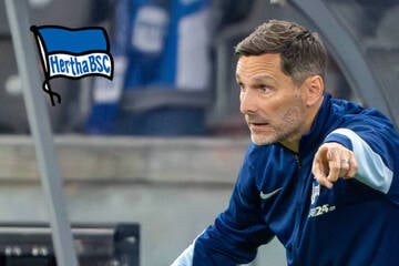 Hertha BSC mit Top-Serie unter Stefan Leitl: Trainerwechsel zu spät?
