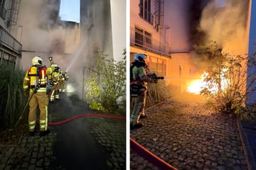 Dresden: Mülltonnen brennen lichterloh: Rauchsäule steigt aus Innenhof hervor