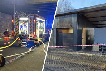 Vier Oldtimer durch Brand zerstört, Besitzer am Boden: "Werde nie mehr solche Autos bekommen"