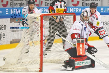 Torhüter-Trio der Eislöwen steht! Dresden gibt Goalie-Wechsel bekannt