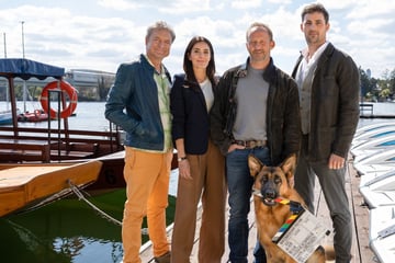 "Kommissar Rex" ist zurück! Für diesen Star schließt sich damit ein Kreis