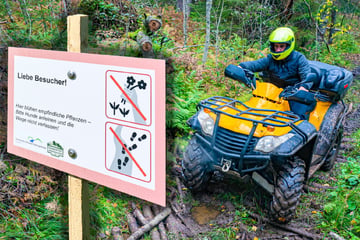 Landschaftsschützer sauer: Quadfahrer brettern über seltene Orchideen-Wiesen