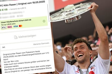 Nach Aufstieg in die Bundesliga: So kurios wollen Fans des 1. FC Köln blitzschnell an Geld kommen