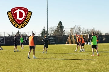 Dynamo-Dresden-Blog: Thomas Stamm muss zum Training auf sechs Spieler verzichten