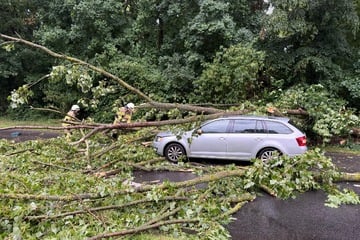 Schwere Unwetter treffen NRW: Feuerwehr Köln im Dauereinsatz