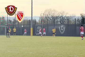 Dynamo-Dresden-Blog: SGD siegt im Test gegen Energie Cottbus mit 3:0