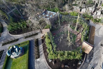 Neue Anlage im Zoo Leipzig ist nach zwei Wochen schon wieder kaputt